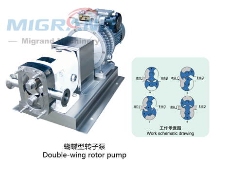 GD-150A Feeding pump (rotor pump)-1