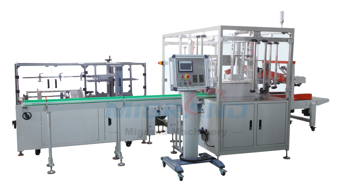 Automatic Boxing Line - doypack Packing Combination