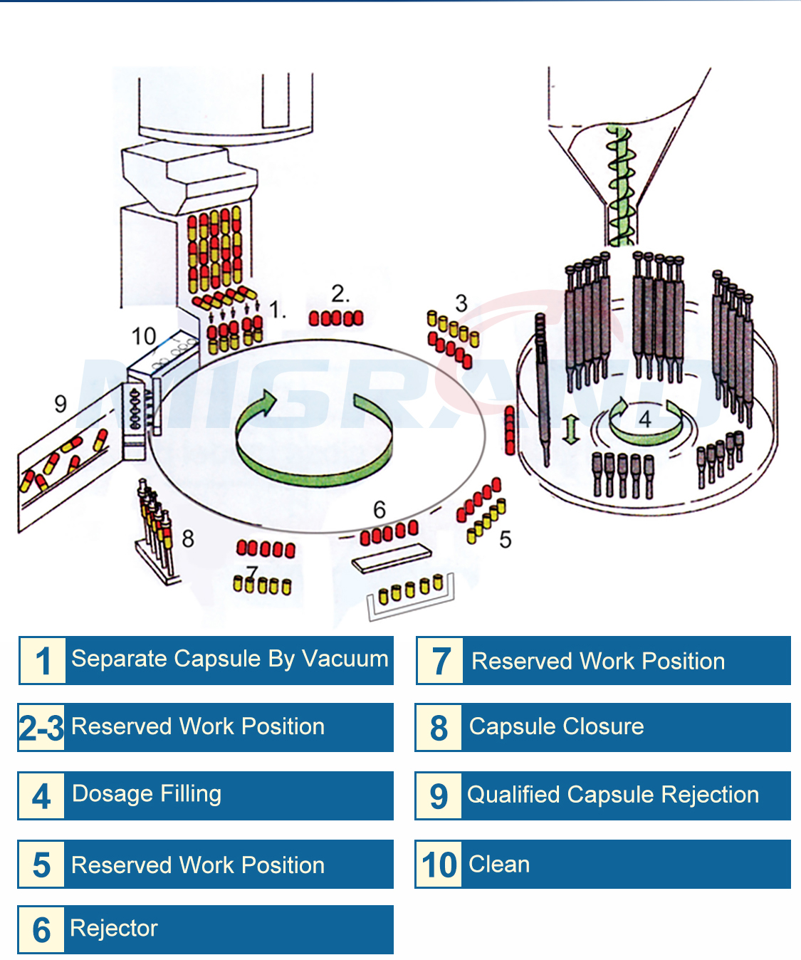 capsule encapsulation process