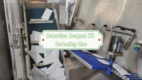 Detection Kit packing machine.jpg
