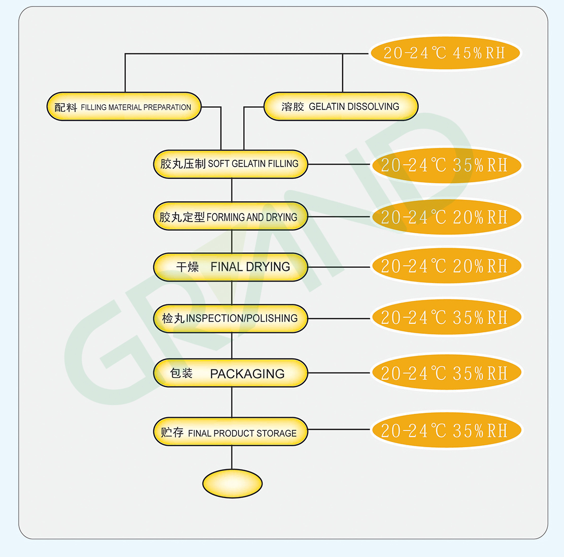 softgel encapsulation machine Process