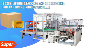 FAT Video of Automatic Side Loading Case Packing Machine