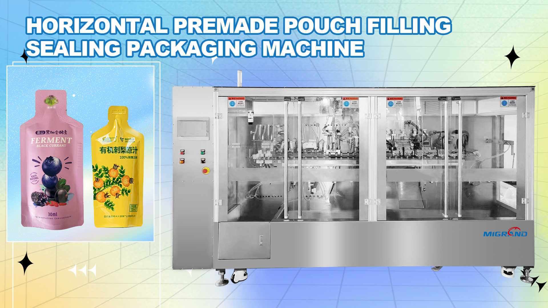GTS2000 Premade Special-shaped Sachet Filling Sealing Machine