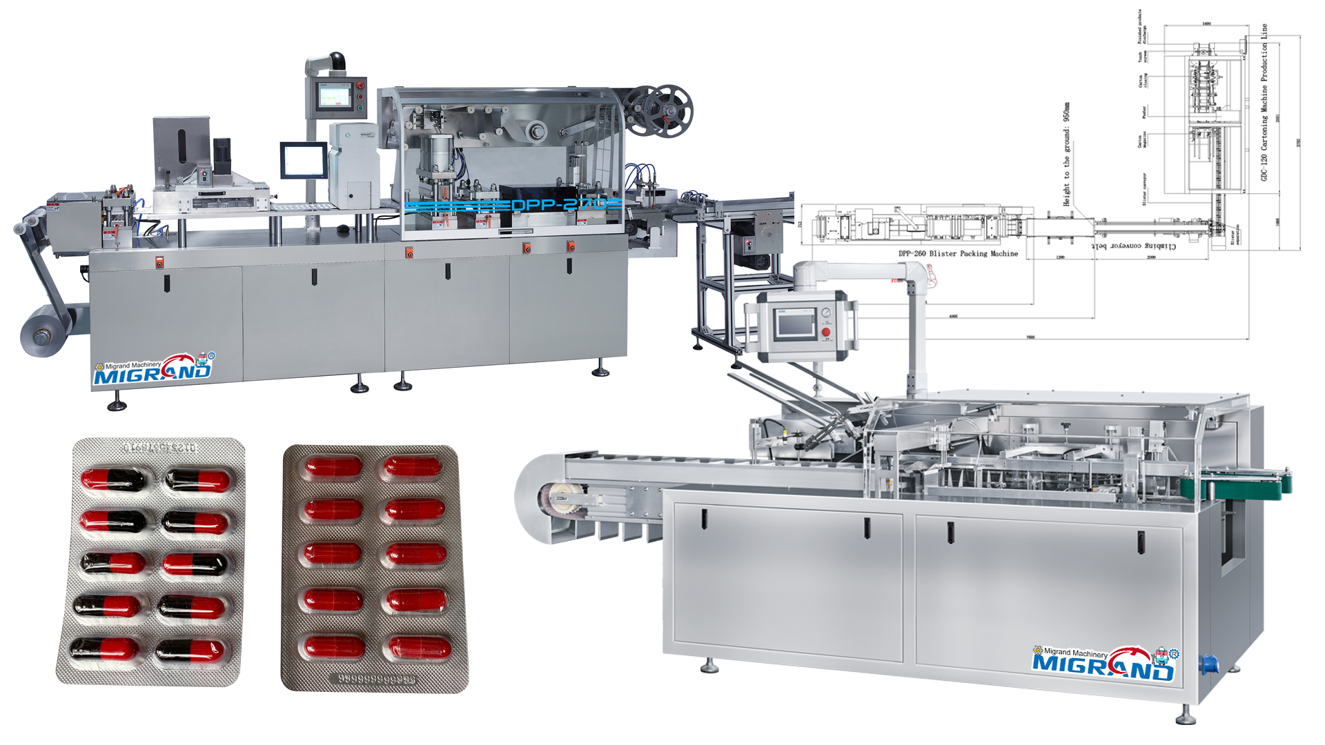 Export To Italy-Pharmaceutical Packaging Line for Capsule