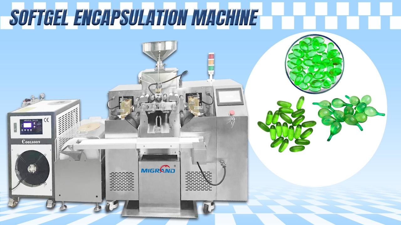 Softgel capsule production line exported to Ecuador